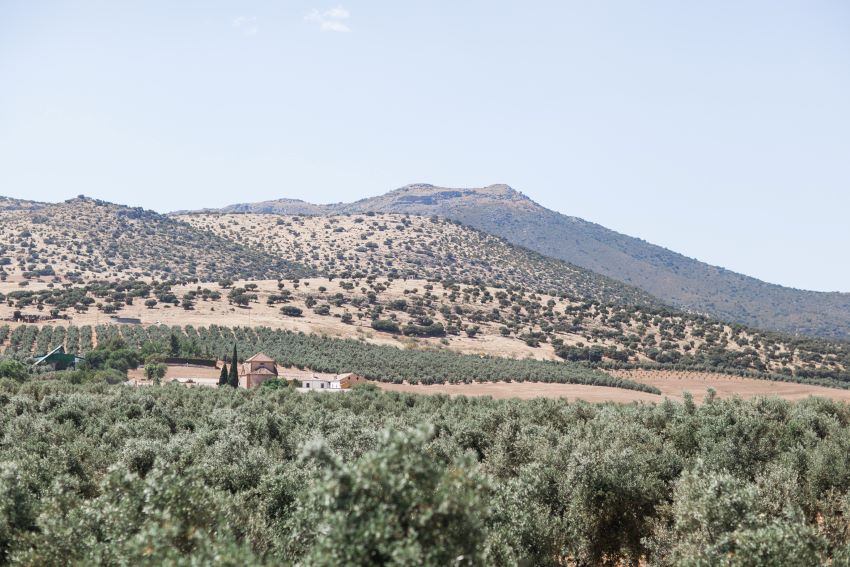 wedding at Cortijo del Marques Granada