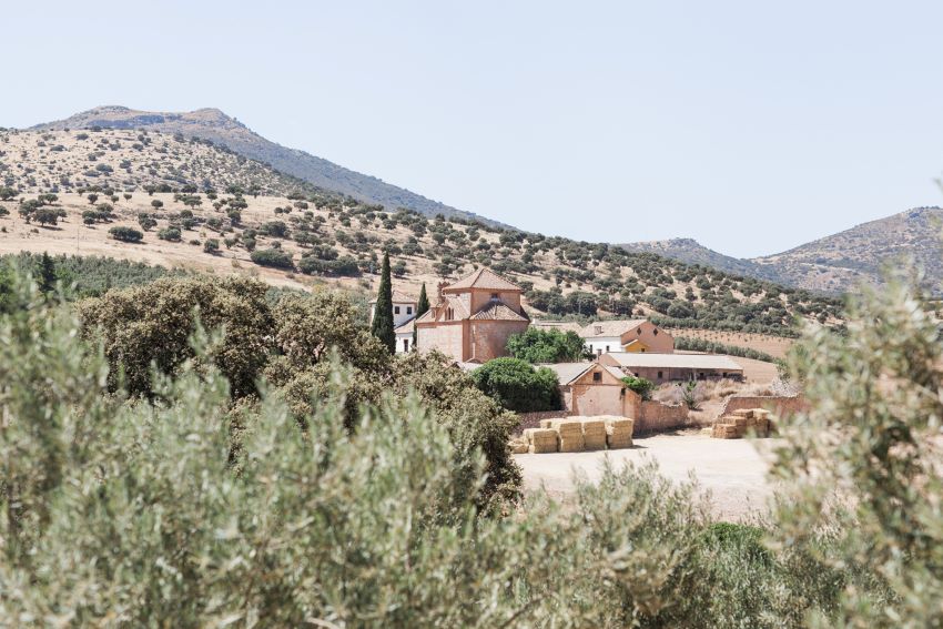 wedding at Cortijo del Marques Granada