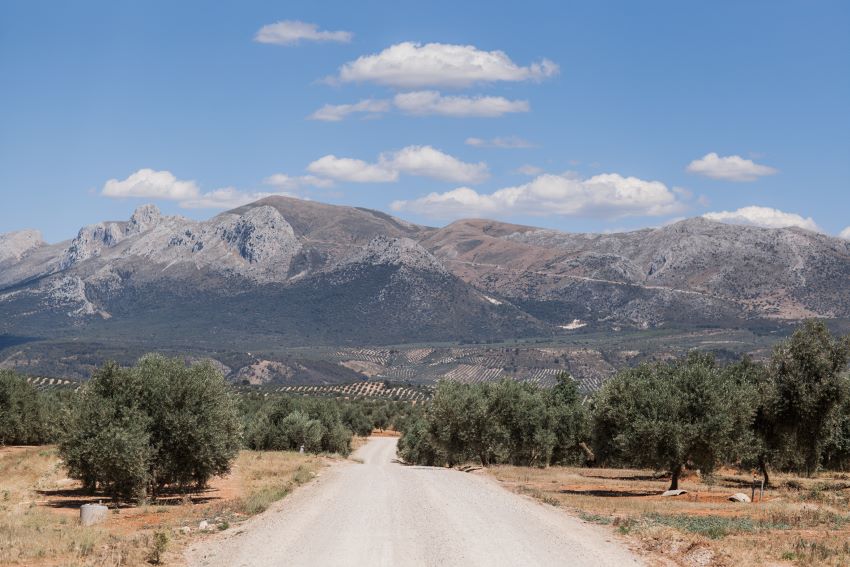 wedding at Cortijo del Marques Granada