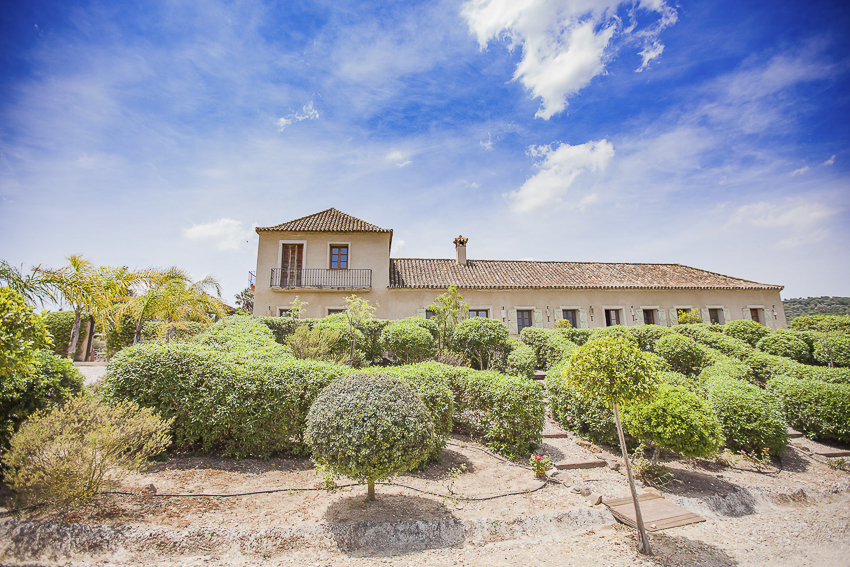 wedding at Casa la Siesta