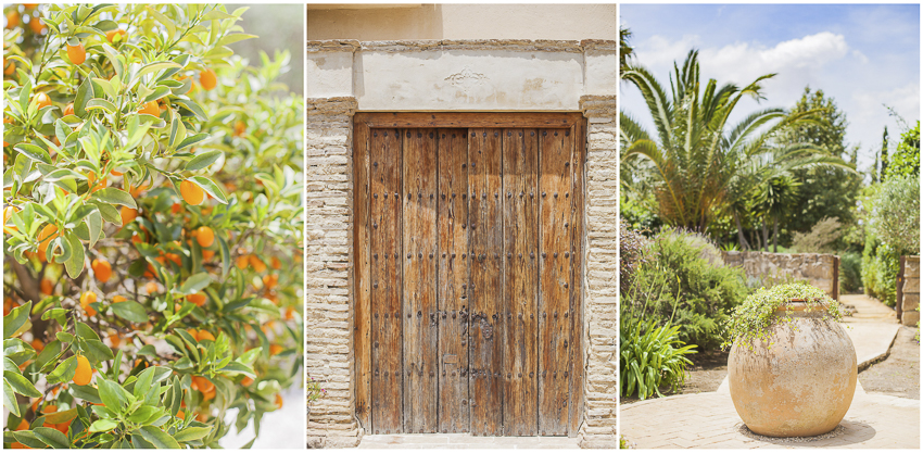 wedding at Casa la Siesta