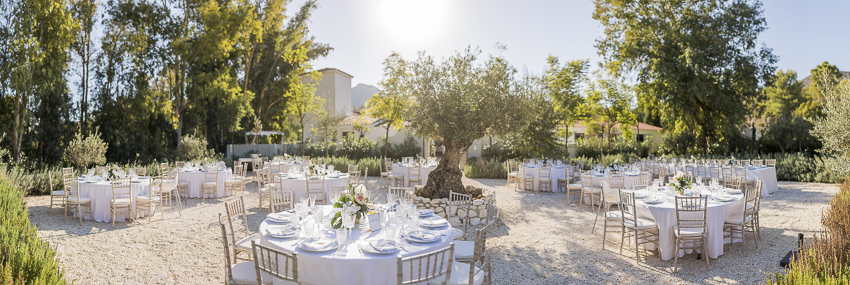 wedding at Cortijo Rosa Blanca