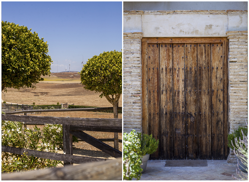wedding at Casa la Siesta
