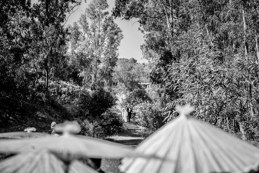 wedding at Cortijo Rosa Blanca