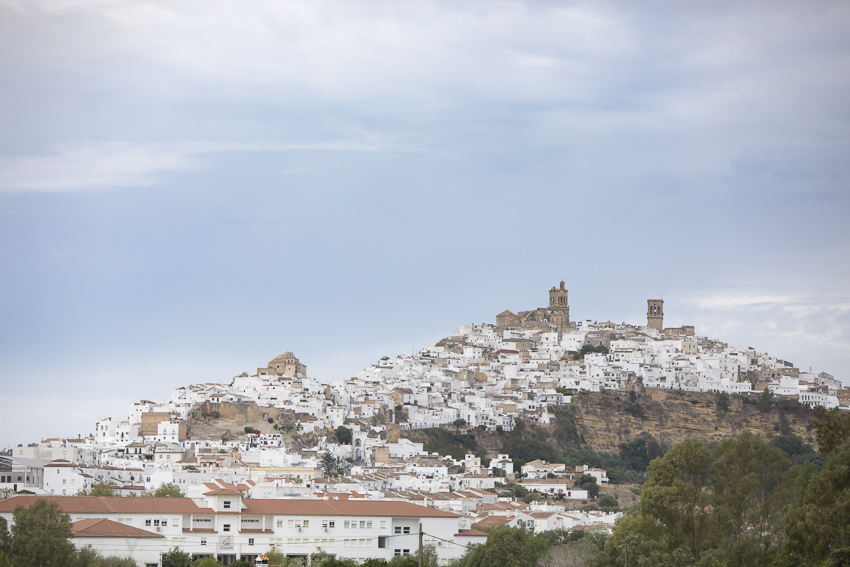 wedding in Fain Viejo Arcos de la Frontera, Spain