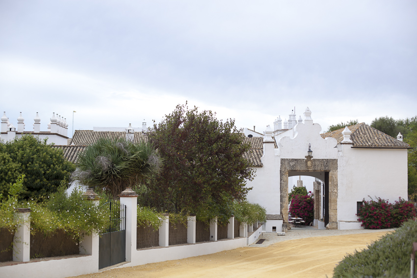 wedding in Fain Viejo Arcos de la Frontera, Spain